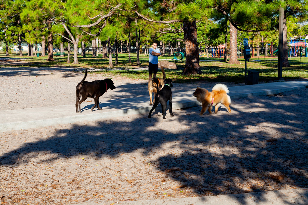 what is a good size for a dog park