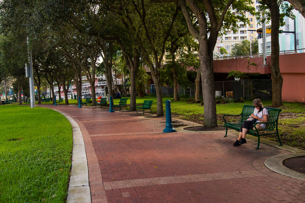 Huizenga Plaza4